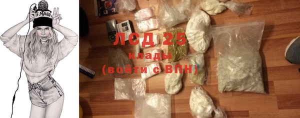 прущий лед Богданович