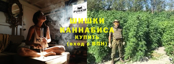 прущий лед Богданович