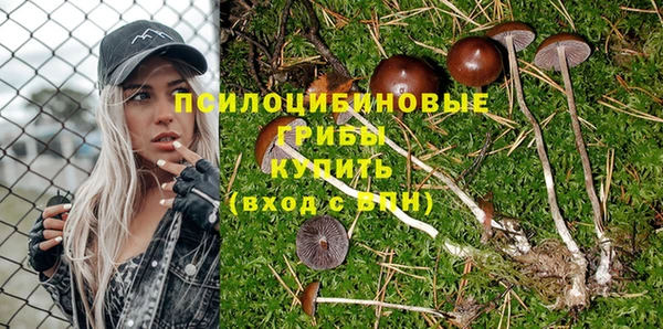 стафф Сатка